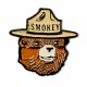 Additional picture of Smokey Bear Head Pin