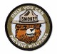 Additional picture of Smokey Bear Head Patch