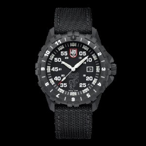 Luminox F-117 Nighthawk Watch model XA.6442.H