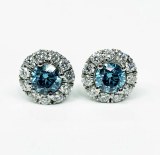 Lab diamond earrings two blue lab diamonds 2.71cttw set into halo design lab diamond earrings 0.68cttw model 049-SKU-22