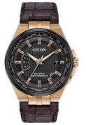 Citizen Eco Drive World Perpetual Watch CB0168-08E