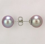 Gray pearl stud earrings 8mm 14kt white gold