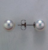 Pearl stud earrings 7.5mm 14kt white gold