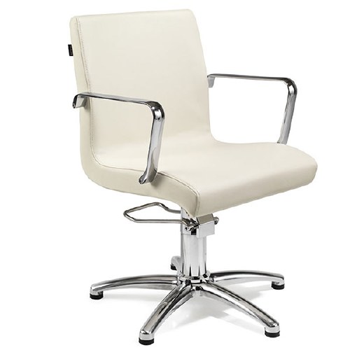 Rem Ariel Styling Chair Hyd Co