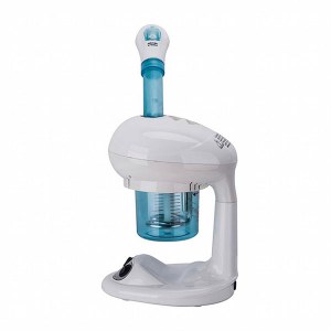 SM Port Face Steamer