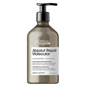 Loreal ARM Shampoo 500ml