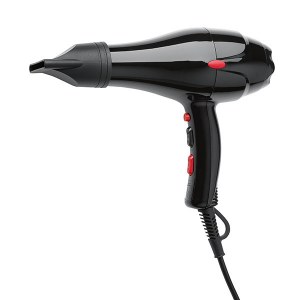 Sinelco Org Hairdryer Black