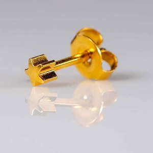 Additional picture of Caflon Gold Star Shape Stud