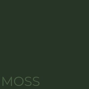 Additional picture of Halo Gel Moss 8ml