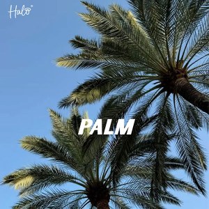 Additional picture of Halo Gel Palm 8ml  14275