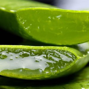 Additional picture of Hive Aloe After Wax Gel 500ml