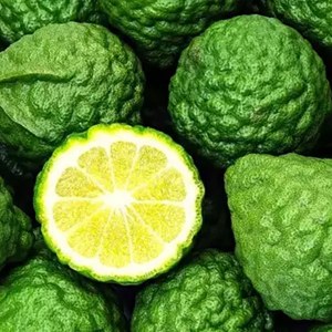 Additional picture of NW Bergamot 10ml