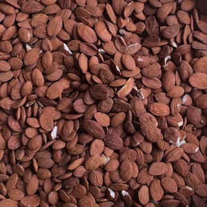 Additional picture of NW Peach Kernel Oil 200ml