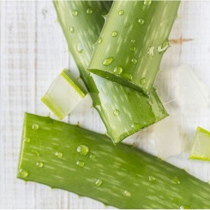Additional picture of Rica Aloe Vera Refills Single