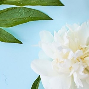 Additional picture of Rica Azulene Refills Single