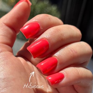 Additional picture of Halo Gel Hibiscus 8ml