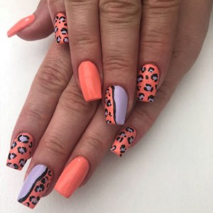 Additional picture of Halo Gel Jellies 8ml