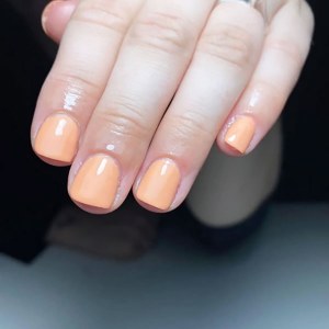 Additional picture of Halo Gel Pumpkin Spice 8ml