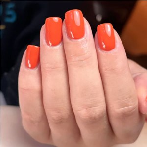 Additional picture of Halo Gel Serengeti 8ml