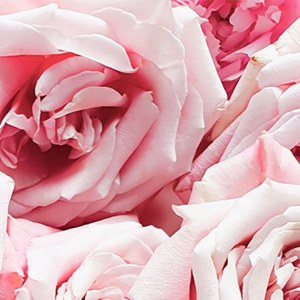 Additional picture of Rica Rose Wax 800ml