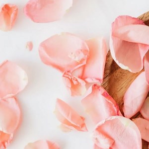 Additional picture of Rica Rose Wax Discs 500g