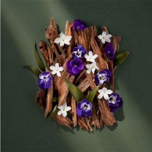 Additional picture of Sanctuary Wellness CBD Oil 45ml