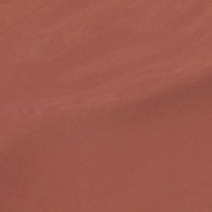 Additional picture of Lacquer-Chocolate Moose 15ml