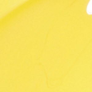 Additional picture of Lacquer-Exotic Birds Do Not D Tweet 15ml