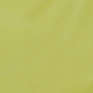 Additional picture of OPI IS Pear-adise Cove L