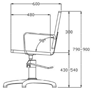Additional picture of Rem Atlas Backwash Chair Col
