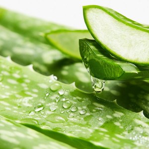 Additional picture of Kaeso Aloe Vera Gel 495ml