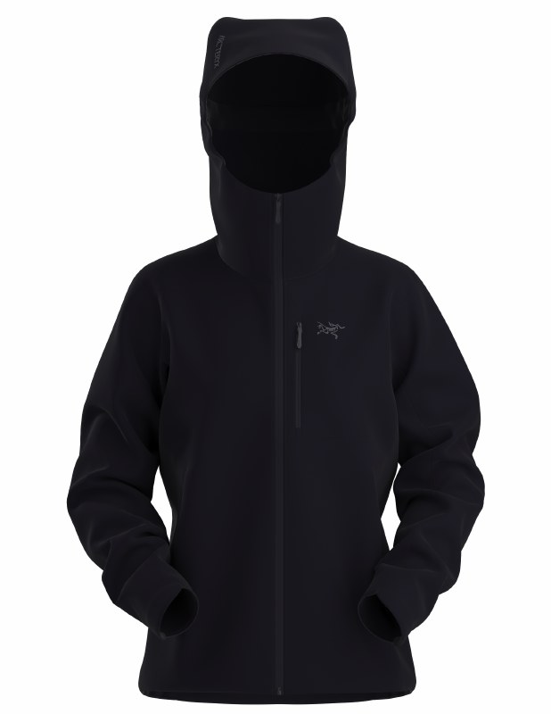 https://cdn.powered-by-nitrosell.com/product_images/10/2445/large-2024%20Arcteryx%20W%20Gamma%20HW%20Hoody%20Black.png