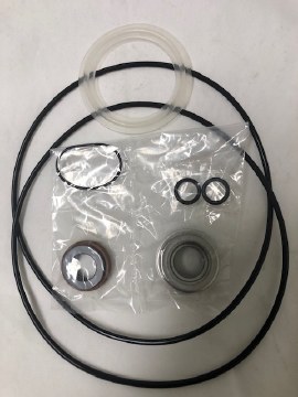 EXECUTIVE REBUILD KIT FOR EXECUTIVE SPA PUMP 100-7700