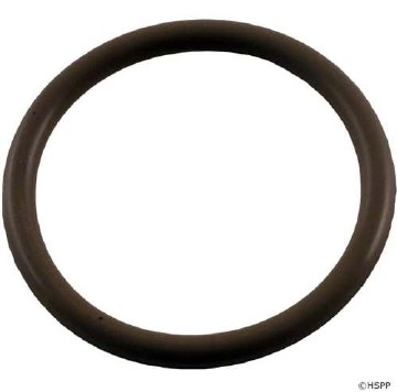 WATERWAY O-RING FOR POLY GUNITE RETAINER
