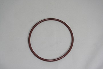 WATERWAY CHLORINATOR O RING/VITON 805-0348V