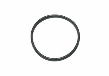 WATERWAY O-RING CLEARWATER II PRESSURE GAUGE 805-0136