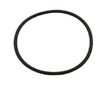 WATERWAY O-RING MASSAGE JET  805-0140EP