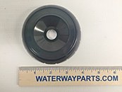 WATERWAY COVER PLATE FOR DIVERTER