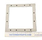 WATERWAY INTERNAL GASKET-SKIMMER
