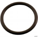 WATERWAY O-RING FOR POLY GUNITE RETAINER