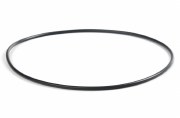 WATERWAY O RING #268- BOOSTER PUMP  805-0268