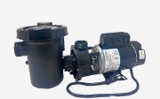 WATERWAY CENTER DISCHARGE(VERTICAL)  1.5 HP(  .95 THP)  , 1 SPEED, 115 VOLT