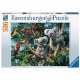Koalas in a tree 500pc