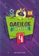 Gaeilge Chruinn 4