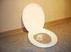 Toilet Seat