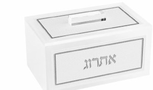 Leatherite Esrog Box Classic Design Silver