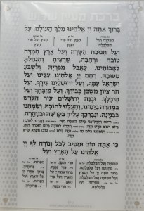 Lucite Al Hamichyah Magnet Hebrew Menukad Pearl White Dotted Design Edut Mizrach 5''x7''