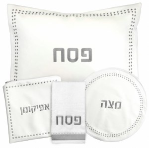 Faux Leather Pesach Set 4 Piece Dotted Border Design Silver