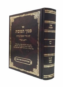 Piskei Teshuvos Hebrew Volume 2 Chelek Beis [Hardcover]