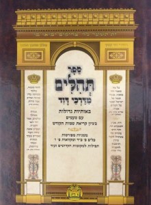 Tehillim Midarchei Dovid Large Size [Hardcover]